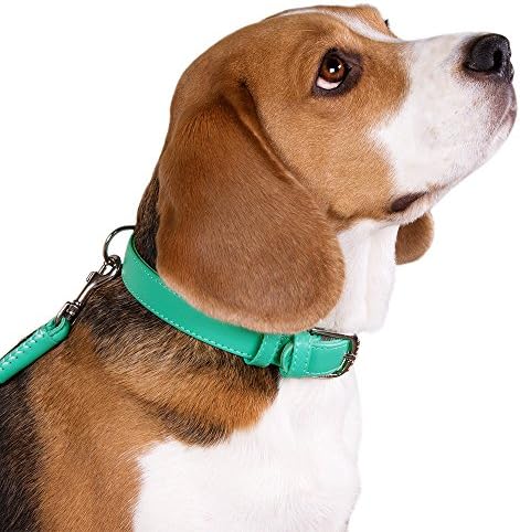 CollarDirect Кожен нашийник за кучета от 12 Цвята Меки маншети за домашни любимци Малък Среден Голям Кученце