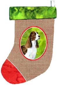 Carolin's Treasures SS2075-Коледни чорапи за springer-шпаньол CS, 11 x 18, Многоцветен