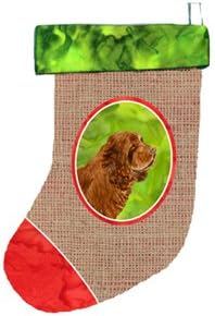 Коледни чорапи за съсекс-шпаньол Carolin's Treasures, 11 x 18, Многоцветен