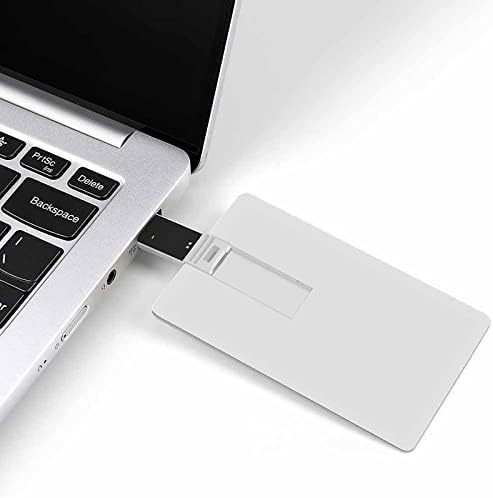 Лама Кактус USB 2.0 Флаш устройства, Памет във формата На Кредитна карта
