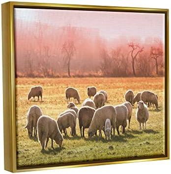 Стадо овце Stupell Industries Паша На Топло Розов Залез слънце, Селски Ливади В Плаваща Рамка, Стенно Изкуство,